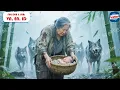 Download Lagu Bà Lão Nghèo Nhặt Nuôi Đứa Bé Bị Bỏ Rơi Trong Rừng Mưa, Nào Ngờ 17 Năm Sau Thành CEO Quay Về Báo Ơn