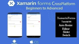 XAMARIN FORMS 3 1 EDITOR SLIDER SWITCH Updates Tutorial 66