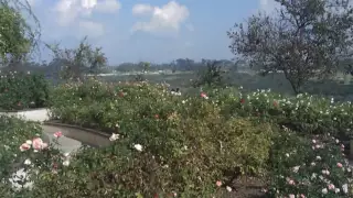 Seal Touch Lyrics  Seal Touch Lyrics