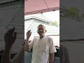 Download Lagu Musafir dan Masjid yang Sangat Membantu