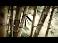 Download Lagu Maharaja Hip hop Remix - Me tera diwana - Hip Hop mix akshay the A