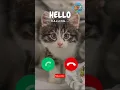 Hello😺🤙#viralvideokids #catshorts #kidsshorts #ringtone #gato #viralshorts #babygirl #mustwatch