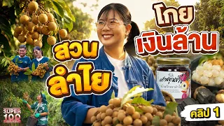 คลิป 1 | สวนลำไยเงินล้าน #พรีม เกษตรกรรุ่นใหม่ ดันผลผลิตไทยสู่ตลาดส่งออก | SUPER100