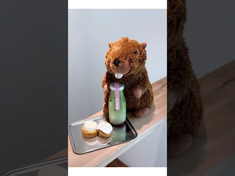 拍照陰影消除術