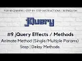 jQuery Effects Methods Animate Methods Params Stop Delay Methods