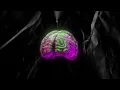 Kim Kaey x Tvilling - Thinking About You (Xoro & Jack Kelly Remix) [Official Audio]