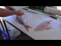 How to Fillet a Pink Snapper