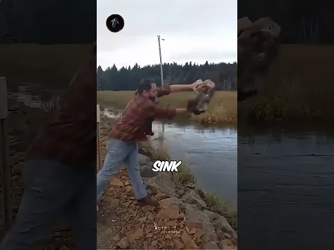 This Wood Is So Dense It Sinks 😮