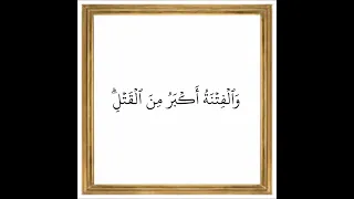 سورة البقرة من الآية 217 إلى الآية 218 بصوت القارئ خليفة الطنيجي رواية حفص عن عاصم 