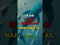 Ikan Nun lebih besar dari ikan paus, ikan yang menelan Nabi Yunus #dakwah #islam #ikannun #religion