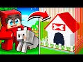 Download Lagu I Built My Dog the SAFEST BASE in Minecraft…