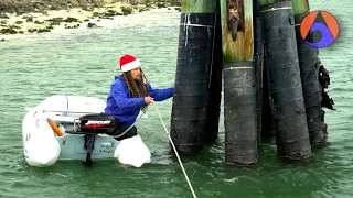 Tying up to Dolphins in Port Canaveral [Wildly Intrepid Ep 97]