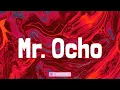 Mr. Ocho - SDM (Lyrics)