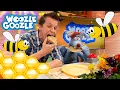Lagu Warum sind Bienen wichtig? l WOOZLE GOOZLE