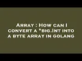 Array How can I convert a big Int into a byte array in golang