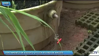 Tratamento de esgoto utiliza filtros de raízes para evitar a poluição, em Florianópolis