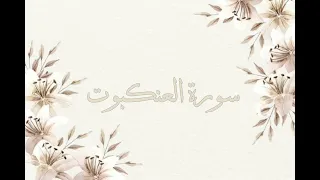 تلاوة خاشعة ناصر القطامي سورة العنكبوت بدون اعلانات جودة عالية 