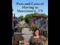 Morristown TN Revealed Unpacking the Pros and Cons