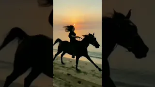 كوني امرأة خطره كاظم الساهر 