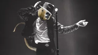 Smooth Criminal by Michael Jackson but he s a monkey