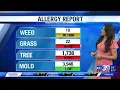 Heavy tree pollen in today s Allergy Report CW39 HOUSTON