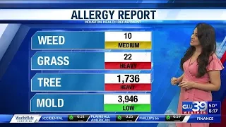 Heavy tree pollen in today s Allergy Report CW39 HOUSTON