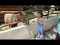 Download Lagu Petualangan Sherina di Jatimpark 2 Batu Malang ( Kuda Pony impian)