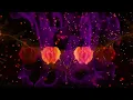 THEMBA & FNX OMAR feat. Syon - Fragile (Official Visualizer)