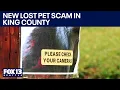 New lost pet scam targeting King County residents FOX 13 Seattle