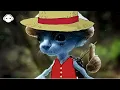 Smurf Cat Phonk | Phonk Mix 2023 | Tik Tok #1