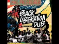 Mad Professor - Dub in D Minor