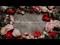Sibel Can & Eypio - Diken Mi, Gül Mü