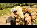 Chestatee Wildlife Preserve Zoo