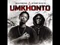 Shaunmusiq & Optimist Music ZA-UMKHONTO(Official Audio)