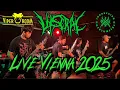 Download Lagu Viscral -  Indonesian Death Metal - Live Viper Room Vienna 2025 4K