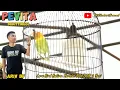 Download Lagu LB PEVITA (Betina Konslet NGEDUR 7 Sesi Full di acara KOPDAR NBF PEKANBARU) ARIV BF Bukittinggi