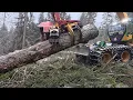 Lagu 🌲powercutting 🌲 forest peg - Highlander - Husky 564 XP [ 1: # ] 
