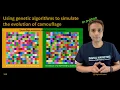 313 - Using genetic algorithms to simulate evolution