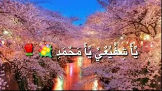 ابا القاسم يا حبيبي يا محمد   حالات واتس اب اناشيد دندنها