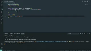 C Programming Course 6 05 Default Values in Functions