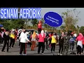 Download Lagu SENAM AEROBIK MINGGU PAGI | Instrukturnya super hot..