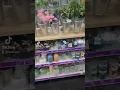 Pop Shelf New Store In KY