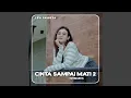 Download Lagu Cinta Sampai Mati 2