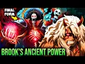 ONE PIECE JUST BLEW EVERYONES MIND BROOKS TRUE IDENTITY CHANGED EVERYTHING