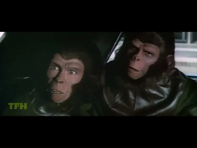 Dana Gould on ESCAPE FROM THE PLANET OF THE APES