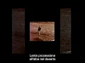 Download Lagu fata morgana - instrumental - with lyrics