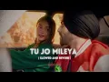 Tu Jo Mileya ( Slowed & Reverb ) MixSingh | Shruti Bakshi | Juss | New Punjabi Romantic Song 2024