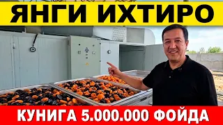 ЎЗБЕКИСТОНДА ЯНГИЛИК 5 ТОННАЛИК АППАРАТ БИЛАН КУНИГА 5 МЛН СЎМ СОФ ФОЙДА КЕЛТИРАДИГАН ИХТИРО