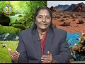 BRAOU B Sc 2nd Year 3rd Semester Zoology Community Structure and Dynamics Ecological Succession