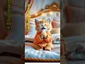 Download Lagu Doa Sebelum Tidur - Animasi Kucing Lucu #doa #doasebelumtidur #kucing  #kucinglucu #animasikucing
